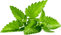 手机号轰炸测试